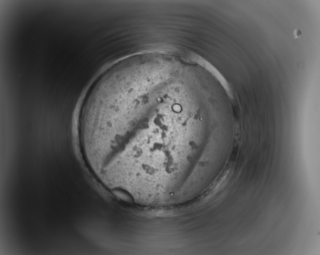 X0000087551099200705181102