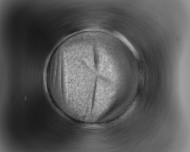 X0000087551100200705181102