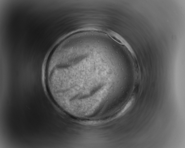 X0000087551101200705181102