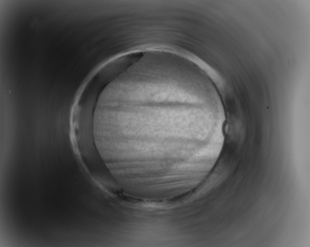 X0000087551102200705181102