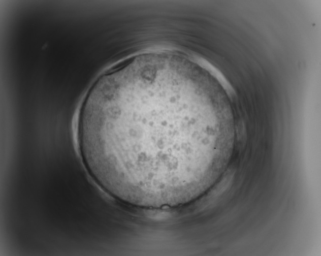 X0000087551103200705181102