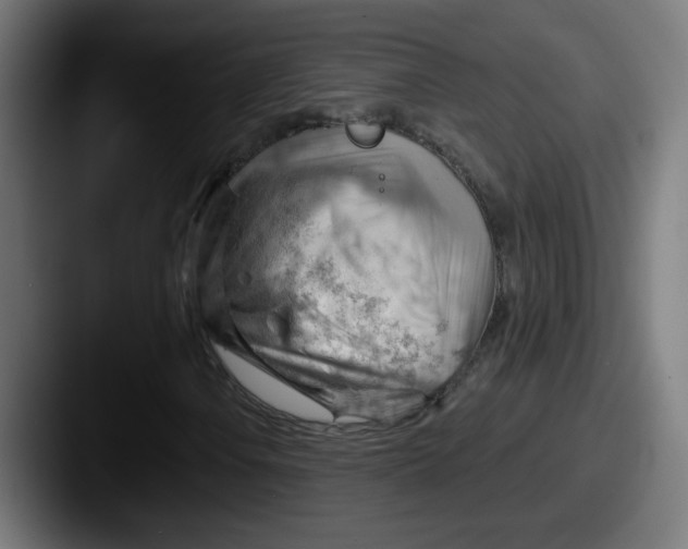 X0000087551106200705181101