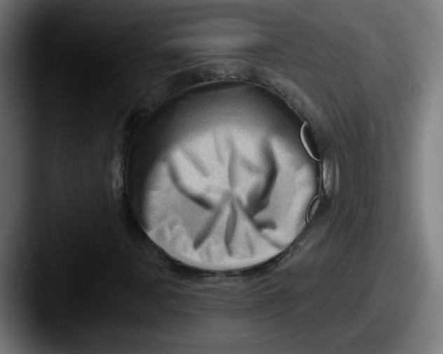 X0000087551107200705181101