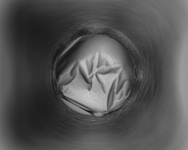 X0000087551108200705181101