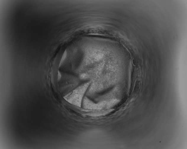 X0000087551109200705181101