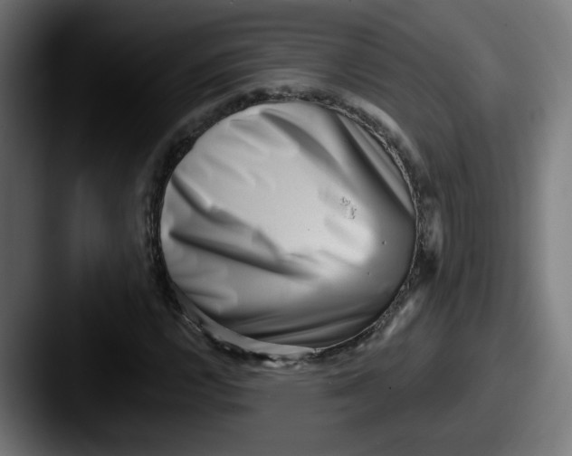 X0000087551112200705181101