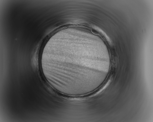 X0000087551114200705181101