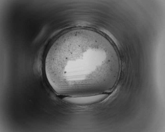 X0000087551115200705181101