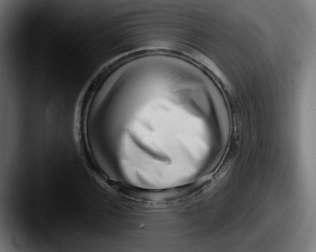 X0000087551116200705181101