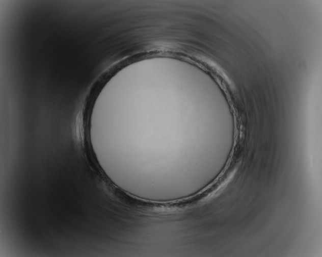 X0000087551117200705181101