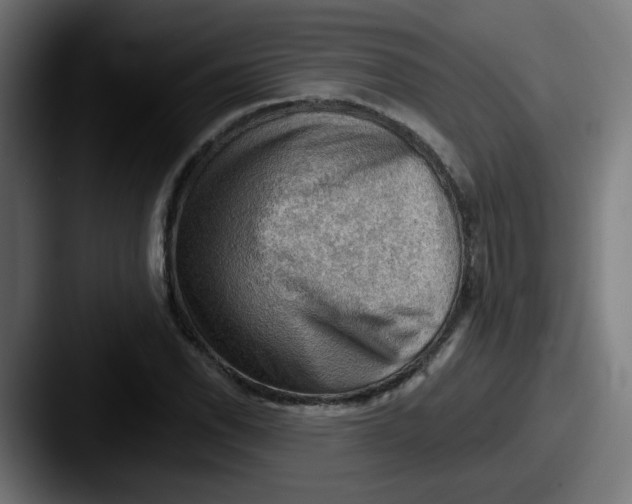 X0000087551118200705181101