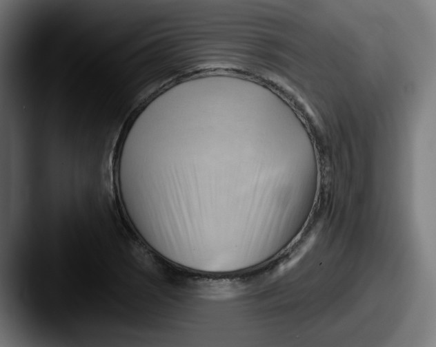 X0000087551121200705181101