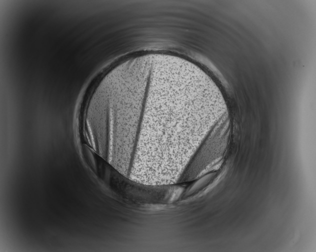 X0000087551122200705181101