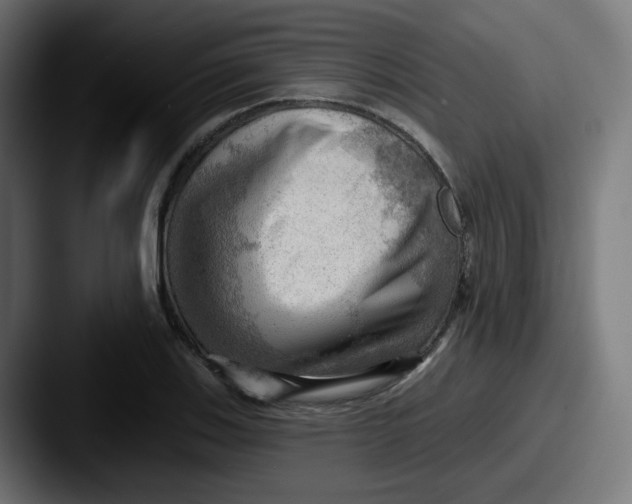 X0000087551123200705181101