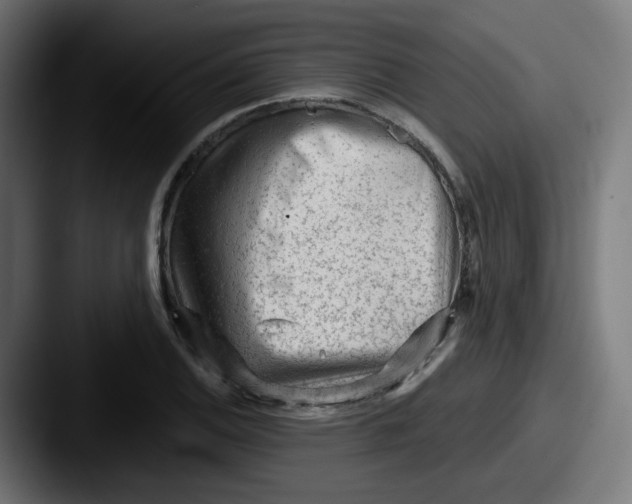 X0000087551124200705181101