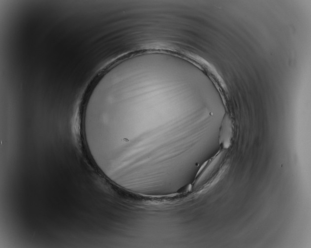 X0000087551125200705181101