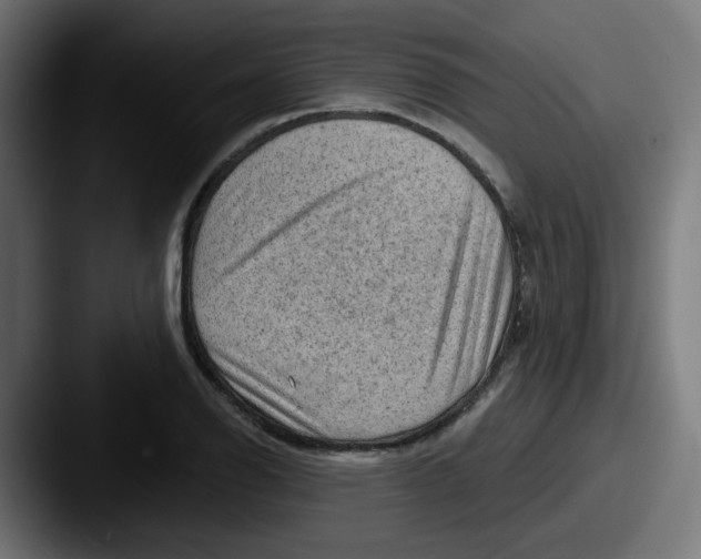 X0000087551126200705181101