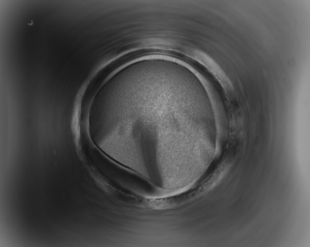 X0000087551128200705181102