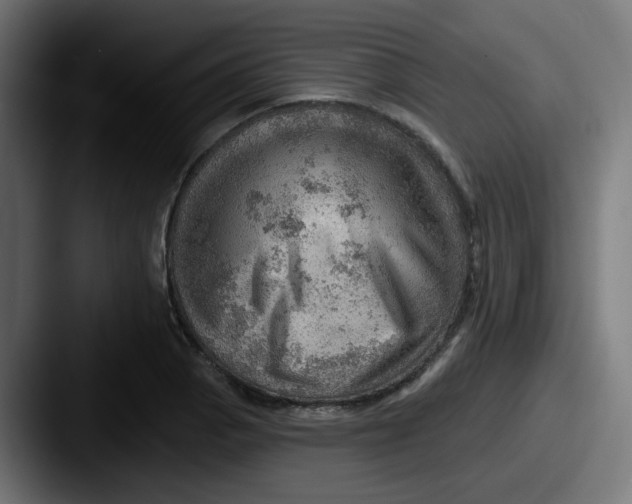 X0000087551129200705181102