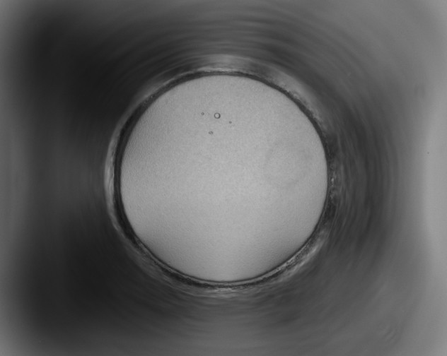 X0000087551130200705181102