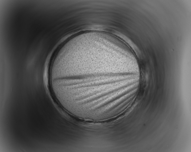 X0000087551131200705181102