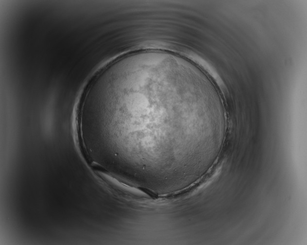 X0000087551133200705181102