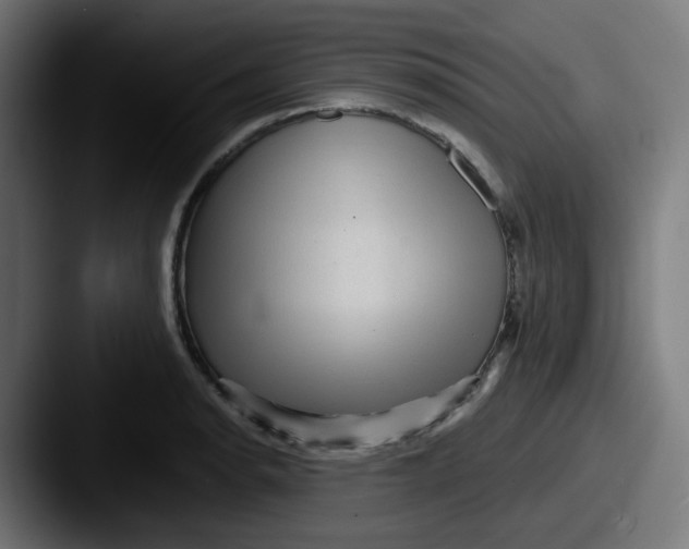 X0000087551134200705181102