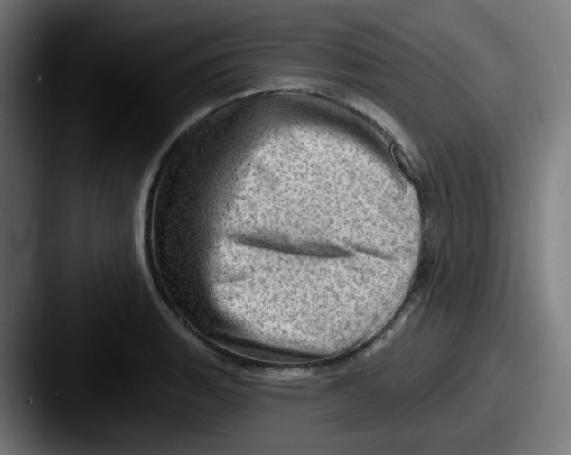 X0000087551135200705181102