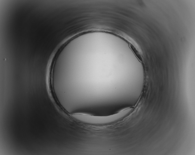 X0000087551136200705181102