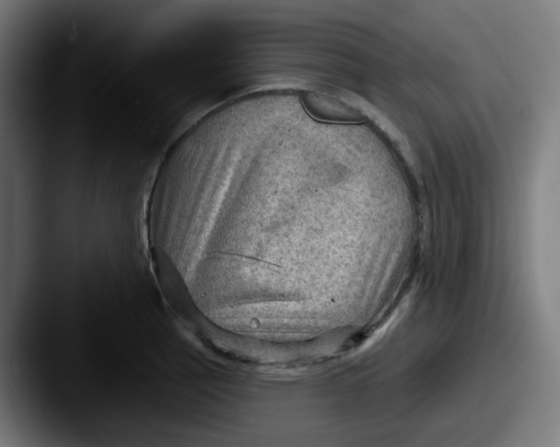 X0000087551137200705181102