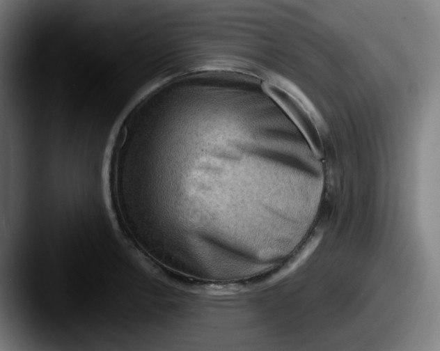 X0000087551138200705181102