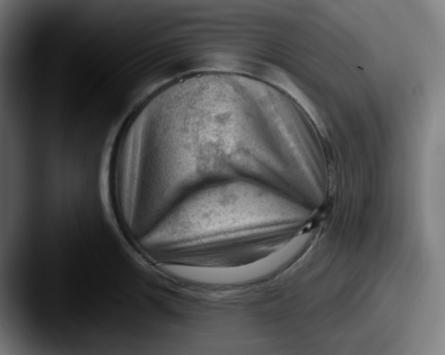 X0000087551139200705181102