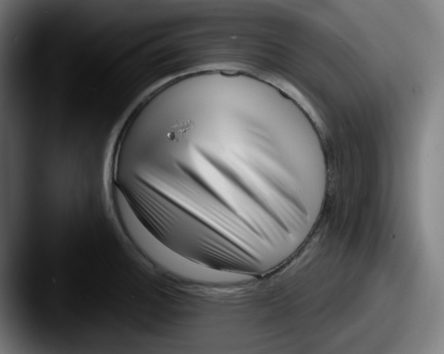 X0000087551140200705181102