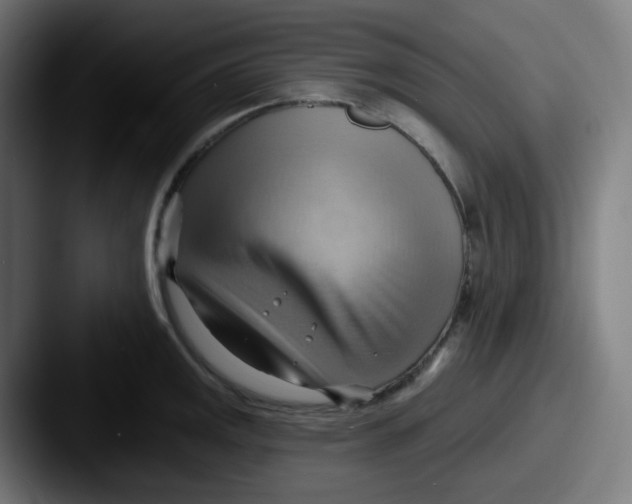 X0000087551141200705181102