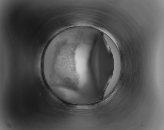 X0000087551142200705181102