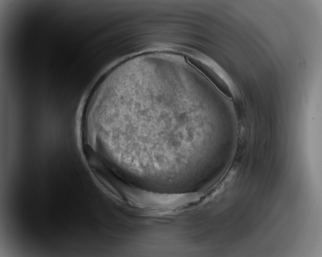 X0000087551143200705181102