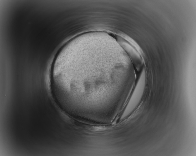 X0000087551144200705181102