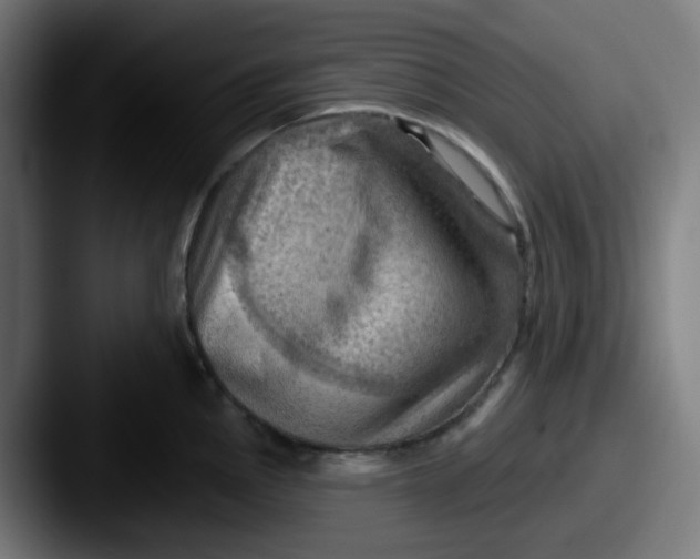 X0000087551145200705181102