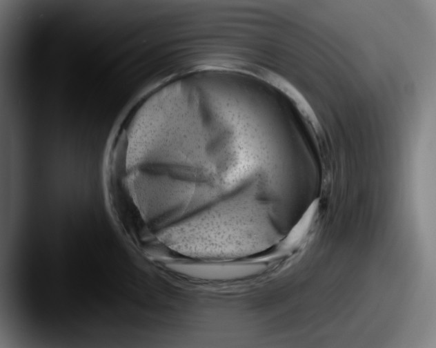 X0000087551146200705181102