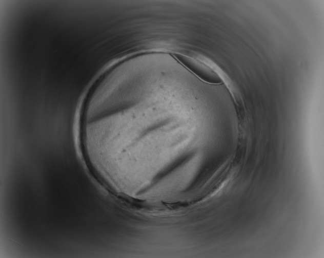 X0000087551147200705181102