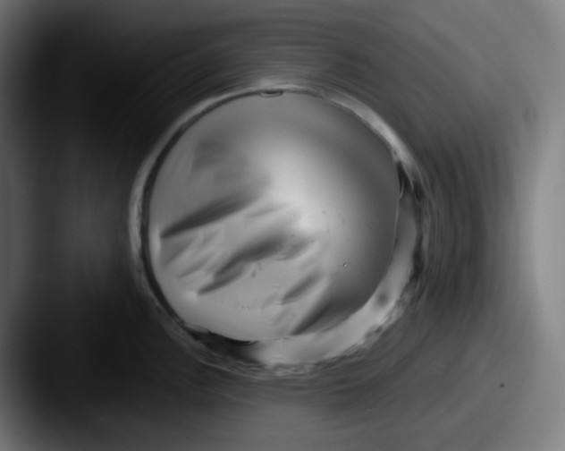 X0000087551148200705181102