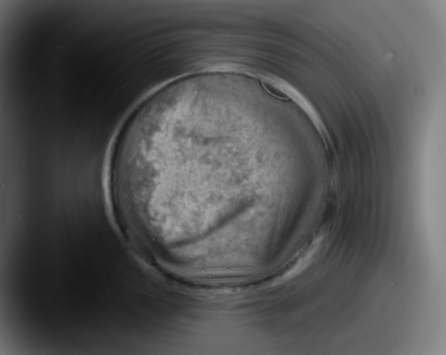 X0000087551149200705181102