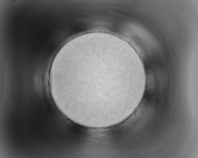 X0000087551150200705181102