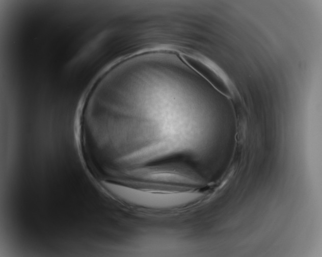 X0000087551151200705181102