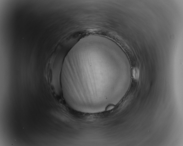 X0000087551155200705181101