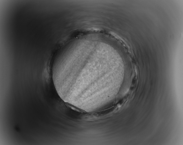 X0000087551156200705181101