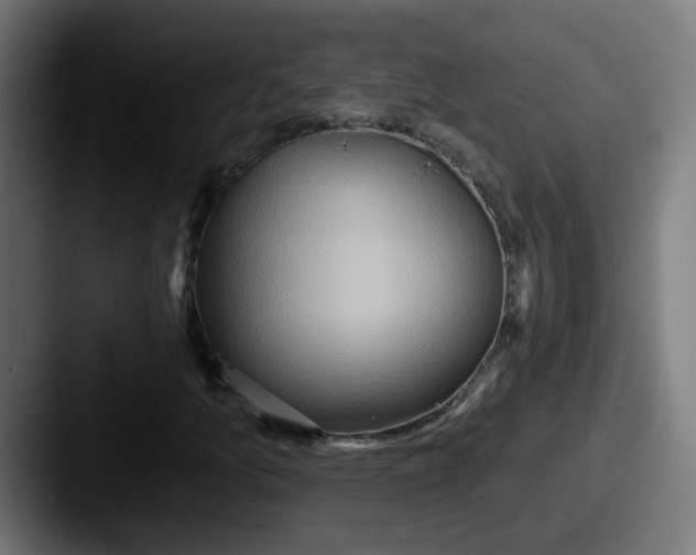 X0000087551157200705181101