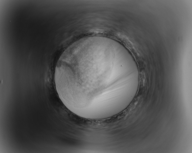 X0000087551158200705181101