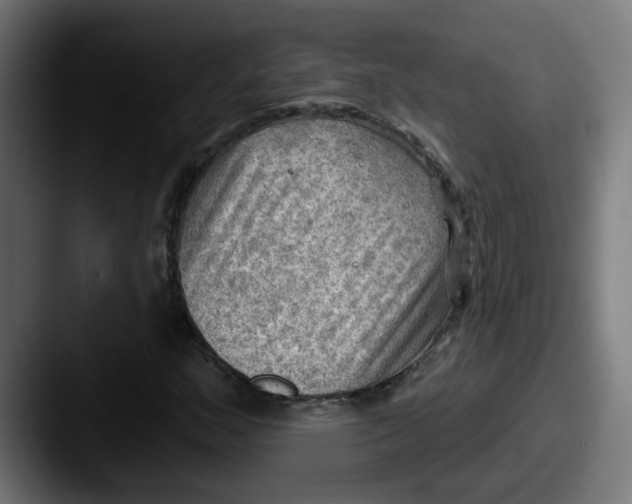 X0000087551159200705181101