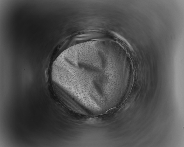 X0000087551160200705181101